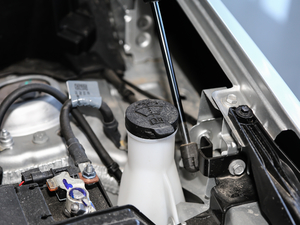 2019Redline 550T ԄؽRS V 