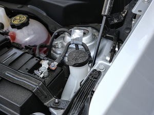 2019Redline 550T Ԅ(q)ؽRS VI 