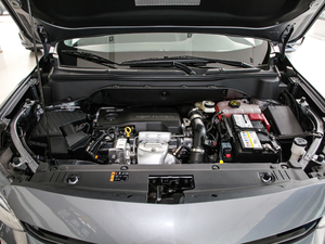 2019��Redline 530T �Ԅӿv���� 5���� ��V ����