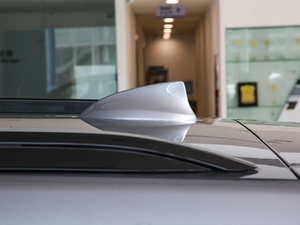 2019��Redline 530T �Ԅӿv���� 5���� ��V �������^