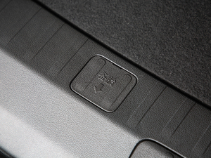 2019��Redline 530T �Ԅӿv���� 5���� ��V ���g����