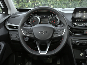 2019款Redline 530T 自动耀享版 5+2款 国VI 方向盘