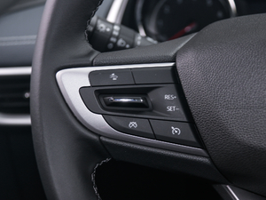 2019Redline 335T CVT (gu)VI п؅^(q)