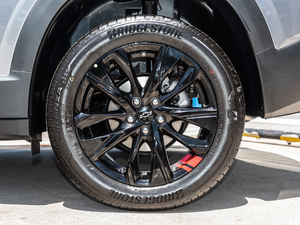 2019Redline 325T ԄȤ VI ݆Ȧ