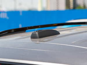 2019Redline 325T ԄȤ VI ^