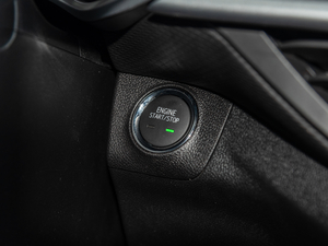 2019Redline 325T ԄȤ VI п؅^