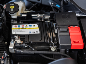 2019Redline 325T ԄȤ VI 