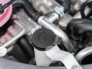 2019Redline 325T ԄȤ VI 