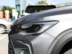 2019Redline 335T CVTO (gu)VI (x)(ji)^