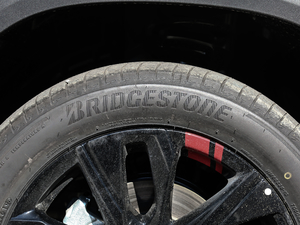 2019Redline 335T CVTO VI ݆̥Ʒ