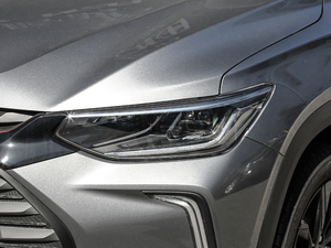 2019Redline 335T CVTO VI ^