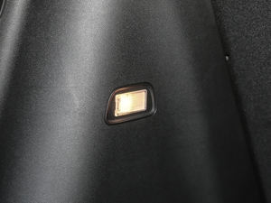 2019Redline 335T CVTO VI g