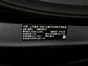 2019Redline 335T CVTO VI 