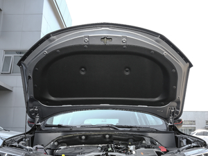 2019Redline 335T CVTO VI 