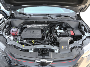 2019Redline 335T CVTO VI lәC