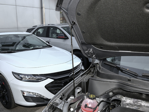 2019Redline 335T CVTO VI 