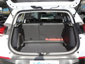 2019Redline 335T CVT VI g