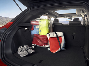 2019435T RS Ԅ򌺷J VI g