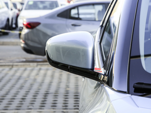 2020������� �������^