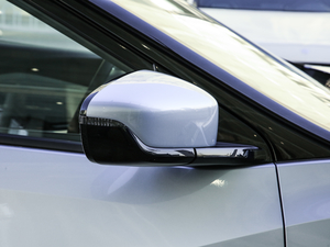 2020������� �������^