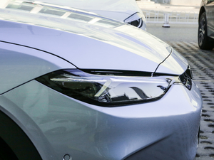 2020������� �������^