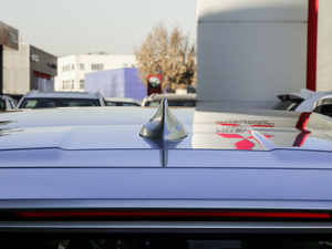 2020������� �������^