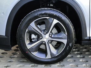 2020������� ݆Ȧ