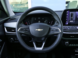 2020������� ����P