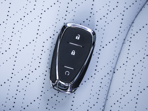 2020������� ܇耳�