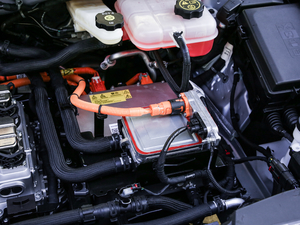 2020������� ����