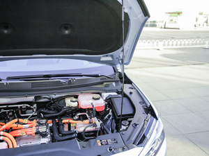 2020������� ����