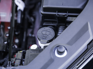 2020������� ����