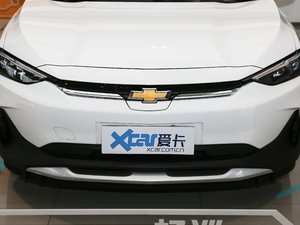 2020款星云版 中网