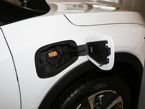 2020�����ư� �������^