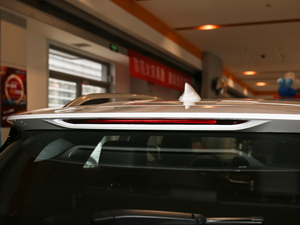 2020�����ư� �������^