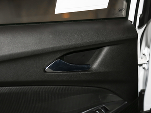 2020�����ư� ���g����