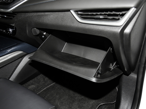 2020�����ư� ������