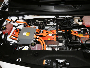 2020�����ư� ����