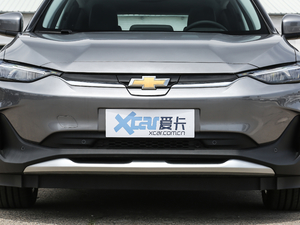 2020款星宇版 中网