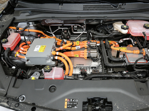 2020������� ����