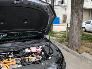 2020������� ����