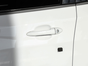 2020���ǺӰ� ���{�T����