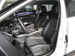 2020���ǺӰ� ���{�����