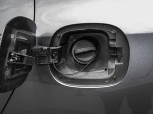 2020Ŀ Redline 325T Ԅҫ ^