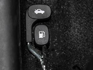 2020Ŀ Redline 325T Ԅҫ п؅^