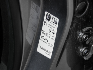 2020Ŀ Redline 325T Ԅҫ 