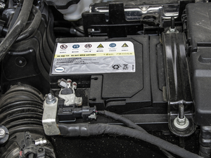 2020Ŀ Redline 325T Ԅҫ 