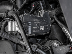 2020Ŀ Redline 325T Ԅҫ 