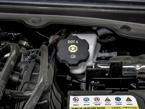 2020Ŀ Redline 325T Ԅҫ 