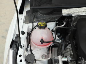 2020Ŀ Redline 325T Ԅа 